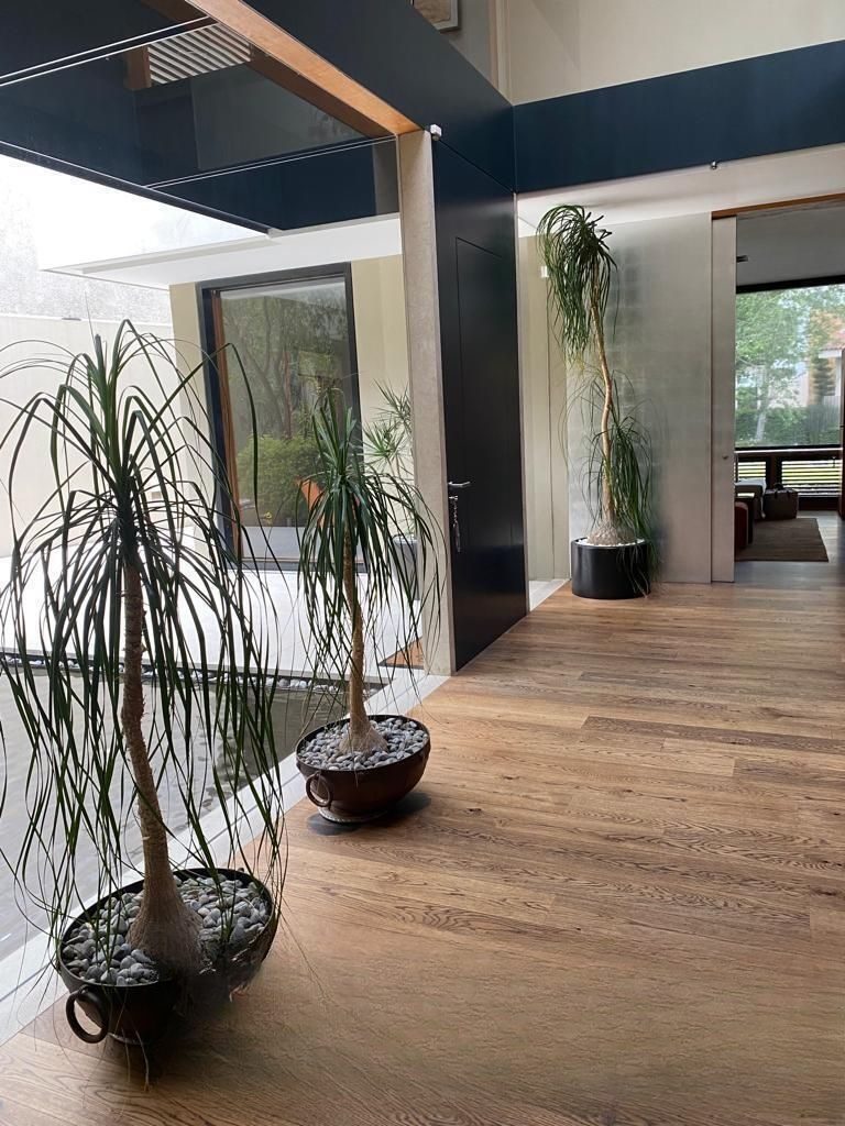 Interior de casa en Bosque Real (foto 1)