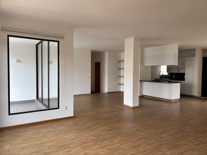 Interior de departamento en Roma Norte (foto 2)