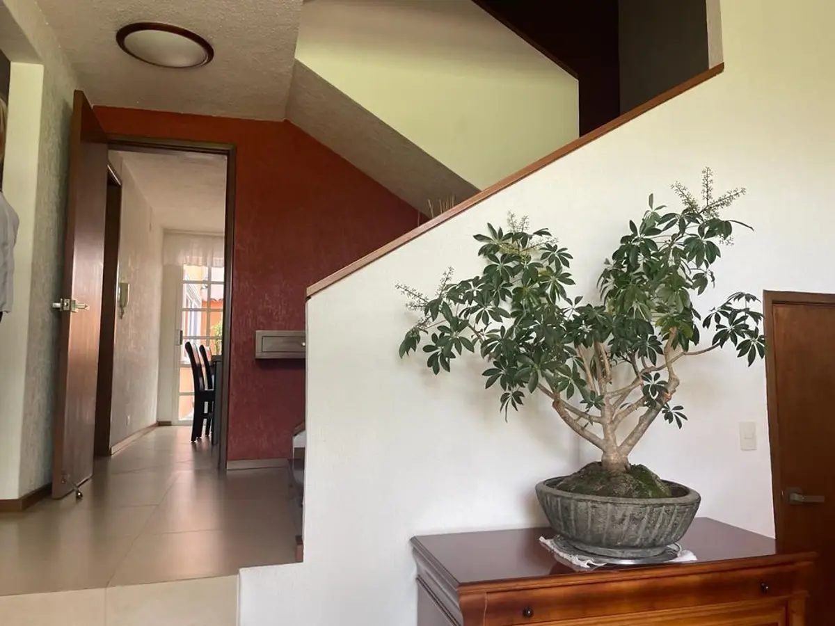 Interior de casa en Naucalpan de Juárez (foto 1)